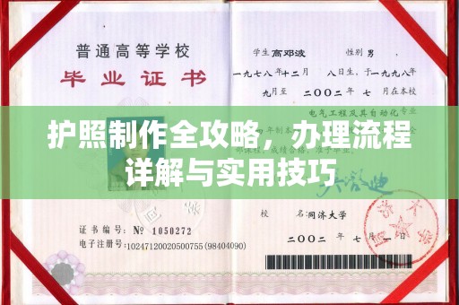 学甲护照制作全攻略，办理流程详解与实用技巧
