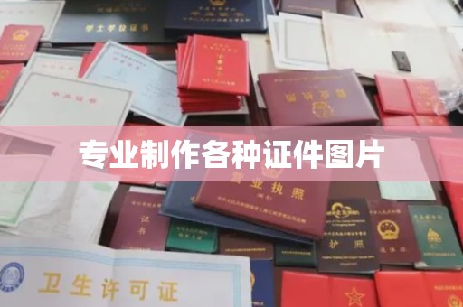 学甲专业制作各种证件图片