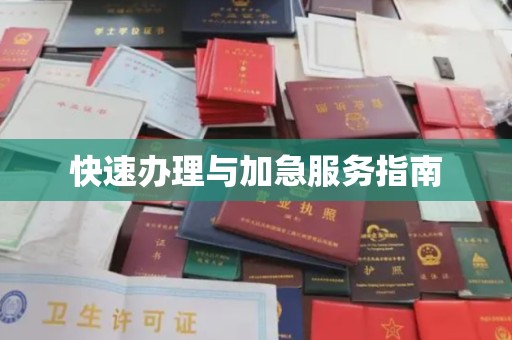 学甲快速办理与加急服务指南