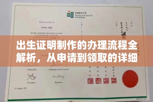 学甲出生证明制作的办理流程全解析，从申请到领取的详细指南