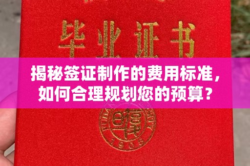 学甲揭秘签证制作的费用标准，如何合理规划您的预算？