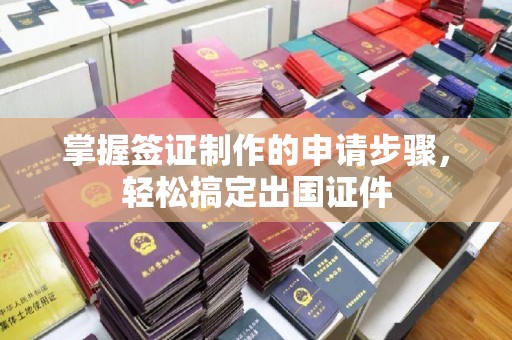 学甲掌握签证制作的申请步骤，轻松搞定出国证件