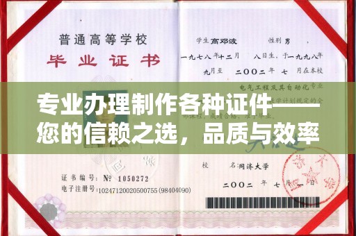 学甲专业办理制作各种证件——您的信赖之选，品质与效率的完美结合