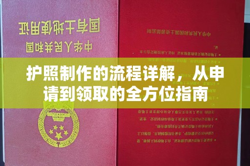 学甲护照制作的流程详解，从申请到领取的全方位指南